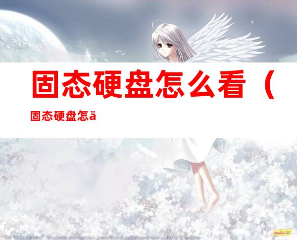 固态硬盘怎么看(固态硬盘怎么看多少G)