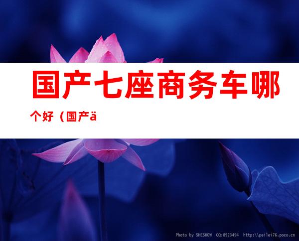 国产七座商务车哪个好(国产七座商务车推荐)