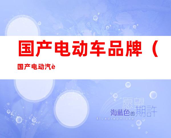 国产电动车品牌（国产电动汽车）