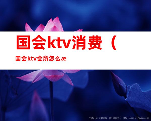 国会ktv消费(国会ktv会所怎么样)