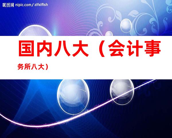 国内八大(会计事务所八大)