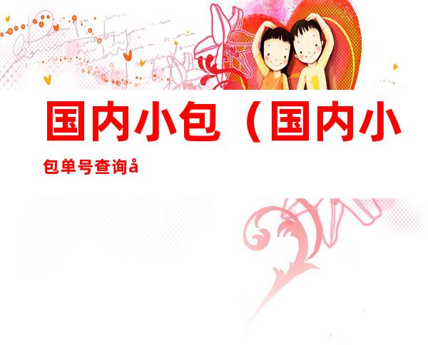 国内小包(国内小包单号查询官网)