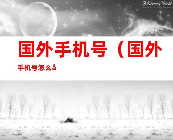 国外手机号(国外手机号怎么弄)