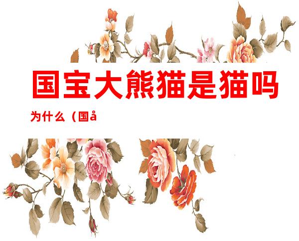 国宝大熊猫是猫吗为什么（国宝大熊猫是不是猫）