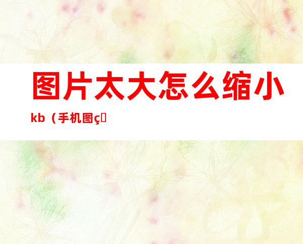 图片太大怎么缩小kb（手机图片太大怎么缩小kb）