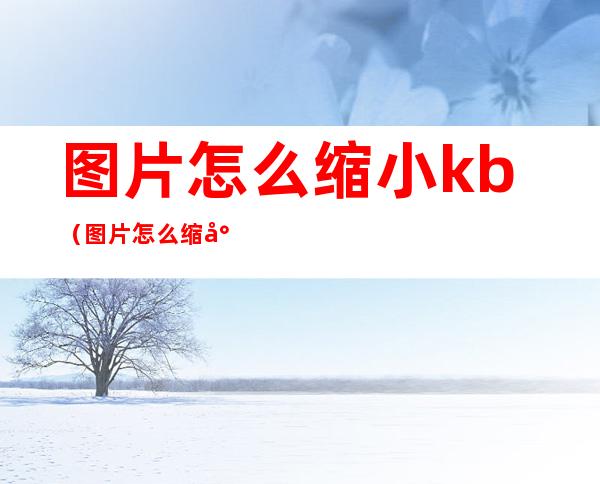 图片怎么缩小kb(图片怎么缩小KB)
