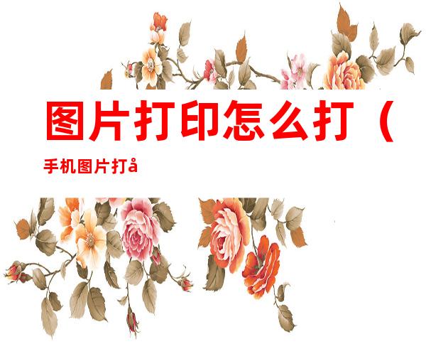 图片打印怎么打(手机图片打印怎么打)