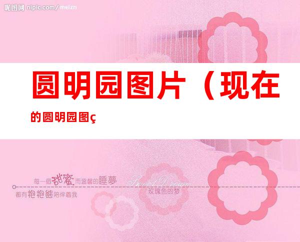 圆明园图片(现在的圆明园图片)