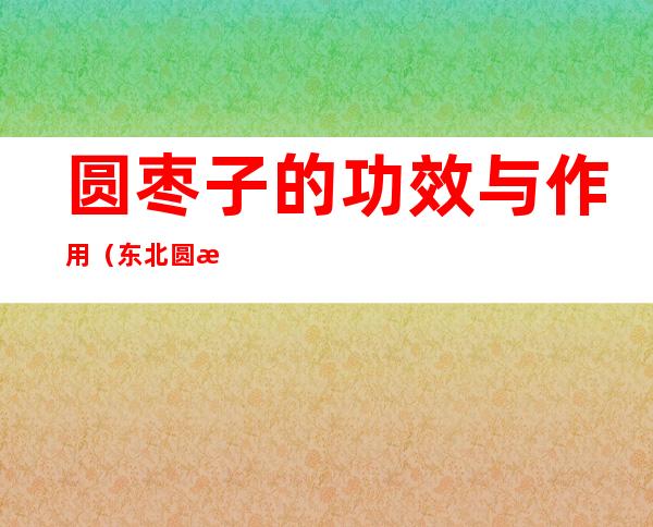 圆枣子的功效与作用（东北圆枣子的功效与作用）