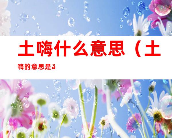 土嗨什么意思(土嗨的意思是什么意思)
