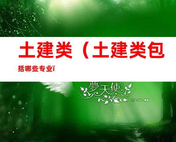 土建类(土建类包括哪些专业)