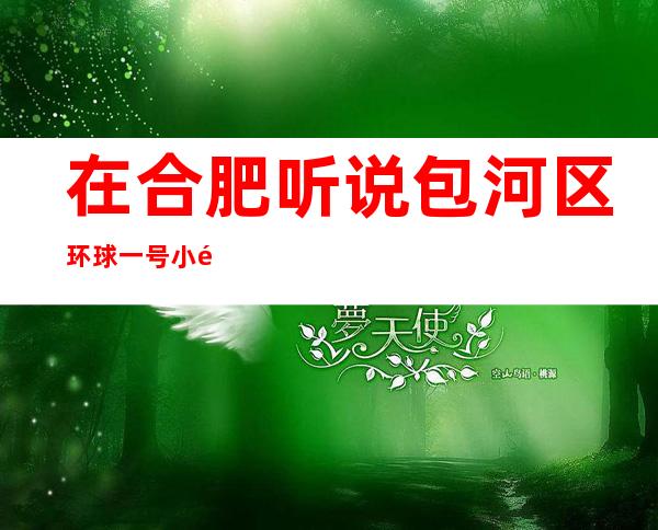 在合肥听说包河区环球一号小酒吧很好玩,颜子怎么样那边。