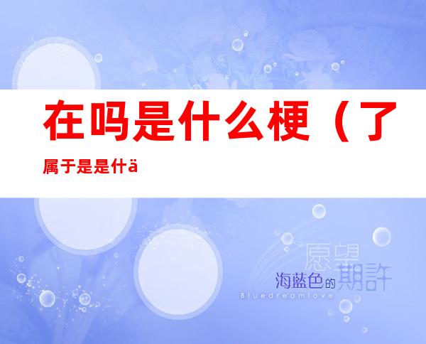 在吗是什么梗(了属于是 是什么梗)