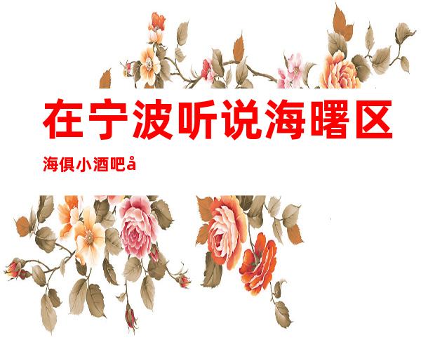 在宁波听说海曙区海俱小酒吧很好玩，颜子怎么样那边。