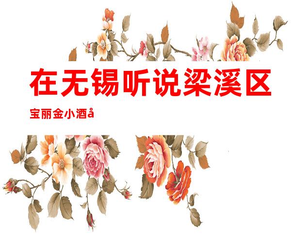 在无锡听说梁溪区宝丽金小酒吧很好玩，颜子怎么样那边。