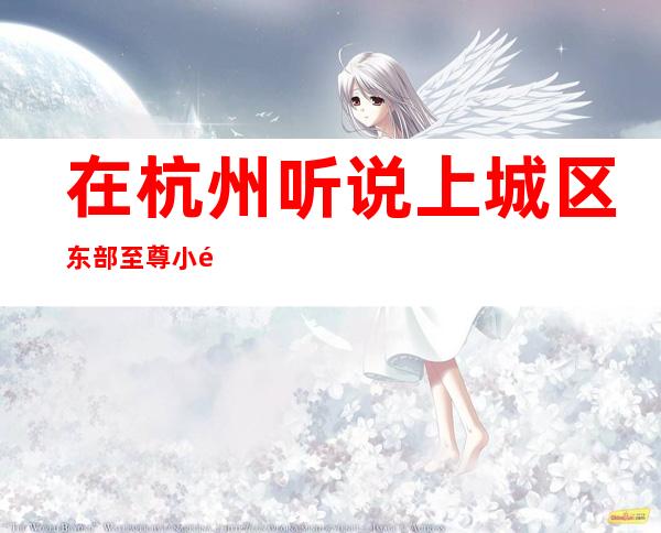 在杭州听说上城区东部至尊小酒吧很好玩，颜子怎么样那边。