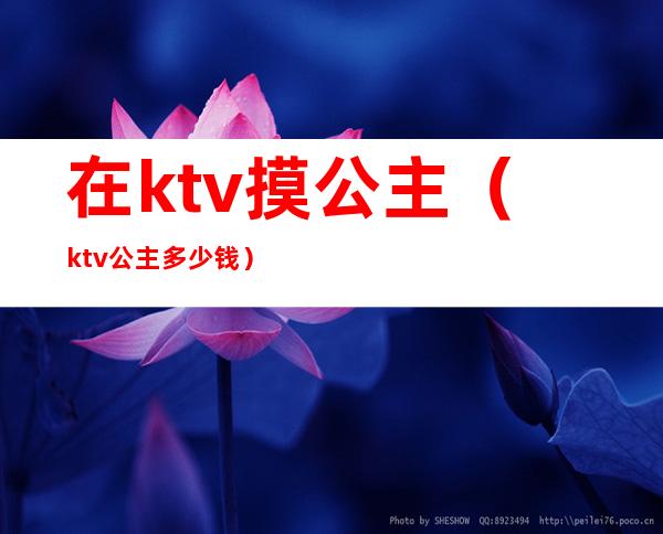 在ktv摸公主(ktv公主多少钱)