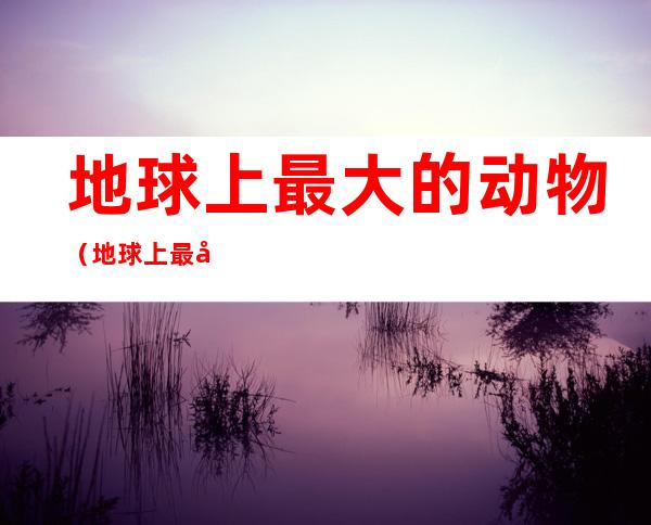 地球上最大的动物(地球上最大的动物类群)