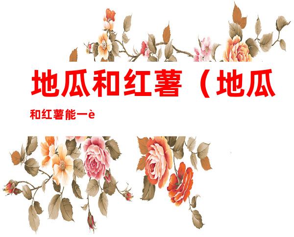 地瓜和红薯(地瓜和红薯能一起吃吗)