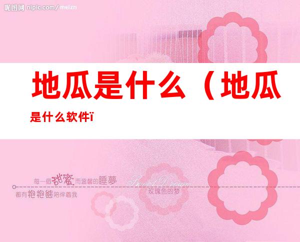 地瓜是什么（地瓜是什么软件）