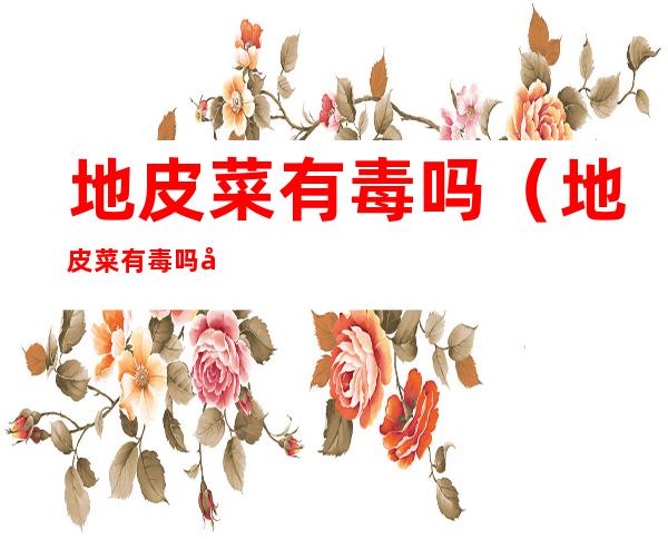 地皮菜有毒吗(地皮菜有毒吗图片)