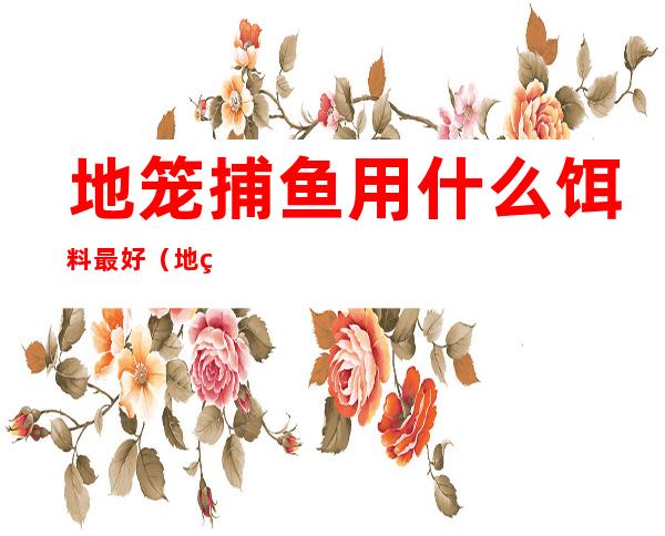 地笼捕鱼用什么饵料最好?(地笼捕鱼怎么放饵料)