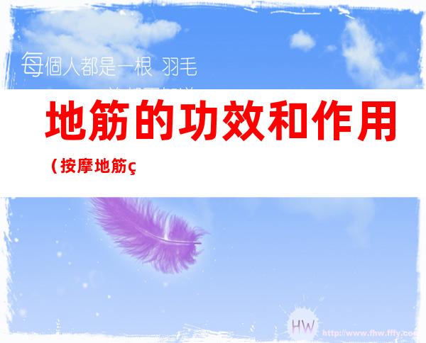 地筋的功效和作用(按摩地筋的功效和作用)