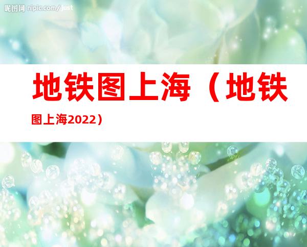 地铁图上海(地铁图上海2022)