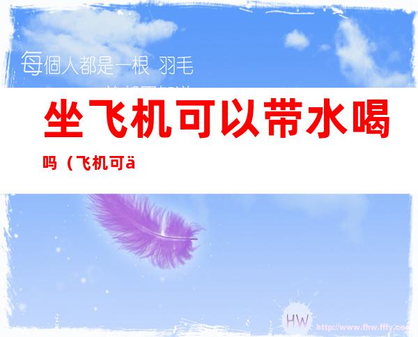 坐飞机可以带水喝吗(飞机可以带喝的水吗)