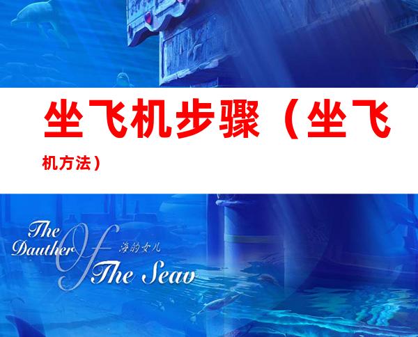 坐飞机步骤(坐飞机方法)