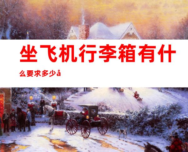 坐飞机行李箱有什么要求多少寸(坐飞机行李箱要多少寸的)