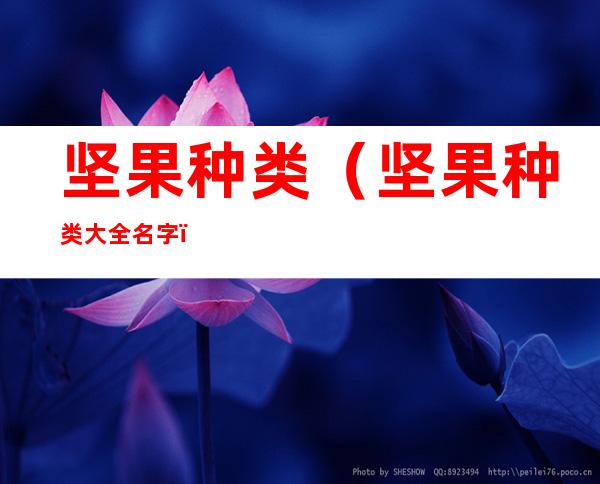 坚果种类(坚果种类大全名字)