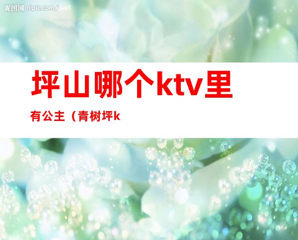 坪山哪个ktv里有公主(青树坪ktv公主)