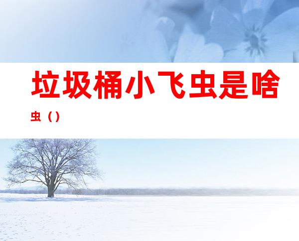 垃圾桶小飞虫是啥虫()