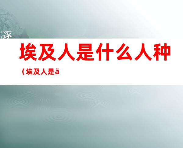 埃及人是什么人种（埃及人是什么人种人）