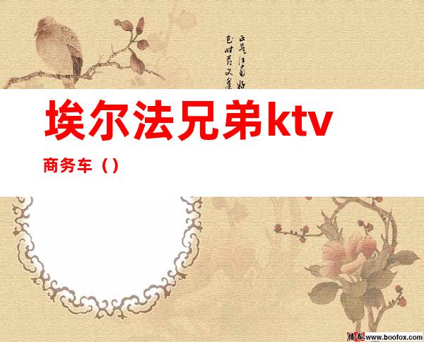 埃尔法兄弟ktv商务车()