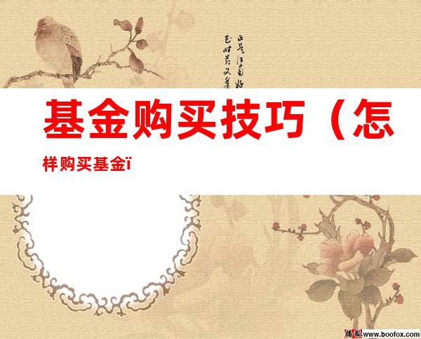 基金购买技巧(怎样购买基金)
