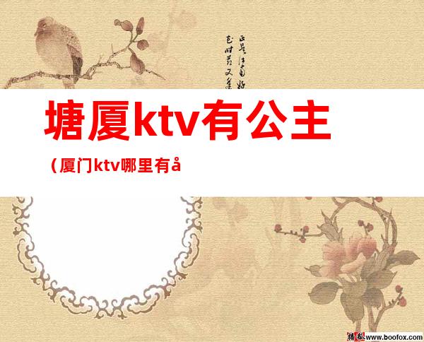 塘厦ktv有公主(厦门ktv哪里有公主)