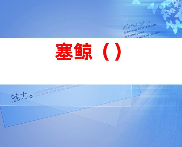 塞鲸()