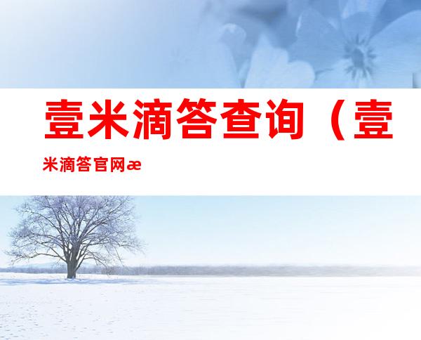 壹米滴答查询(壹米滴答官网查询单号查询)