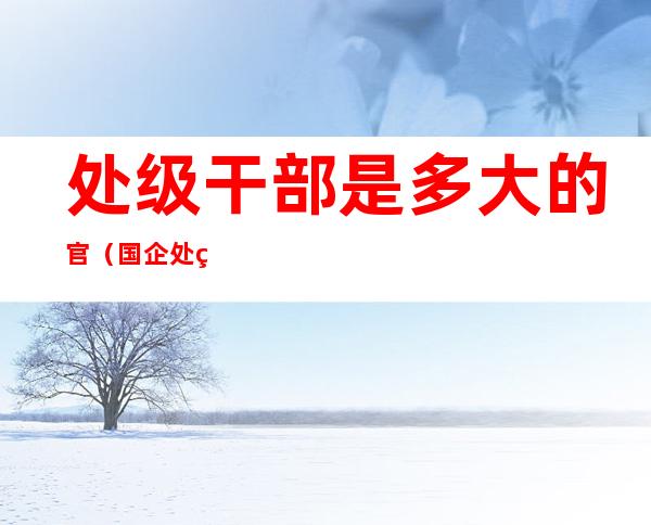 处级干部是多大的官(国企处级干部是多大的官)