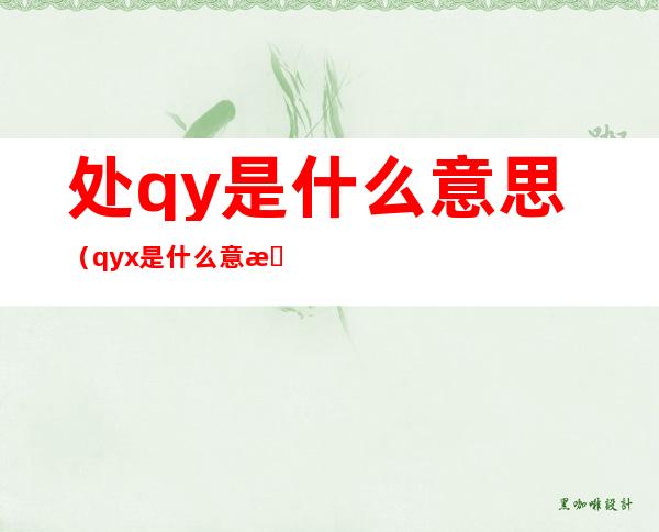 处qy是什么意思(qyx是什么意思)