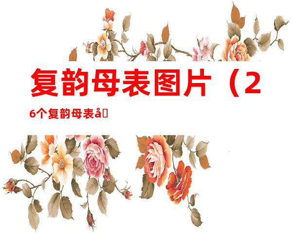 复韵母表图片(26个复韵母表图片)
