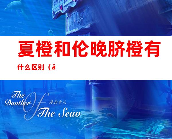 夏橙和伦晚脐橙有什么区别(夏津脐橙和伦晚脐橙的区别)