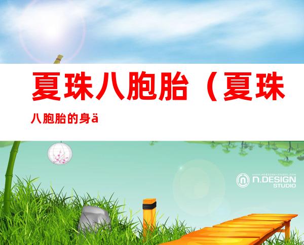 夏珠八胞胎(夏珠八胞胎的身份)