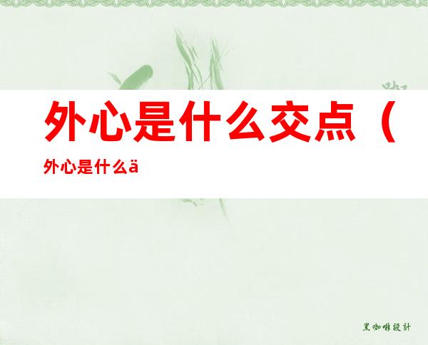 外心是什么交点（外心是什么交点有什么性质）