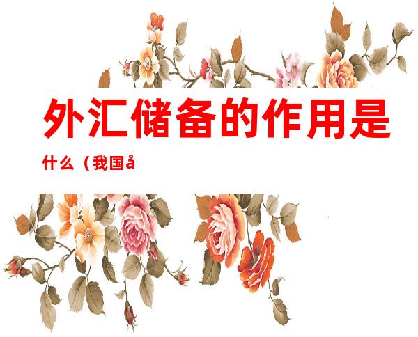 外汇储备的作用是什么(我国外汇储备的作用)