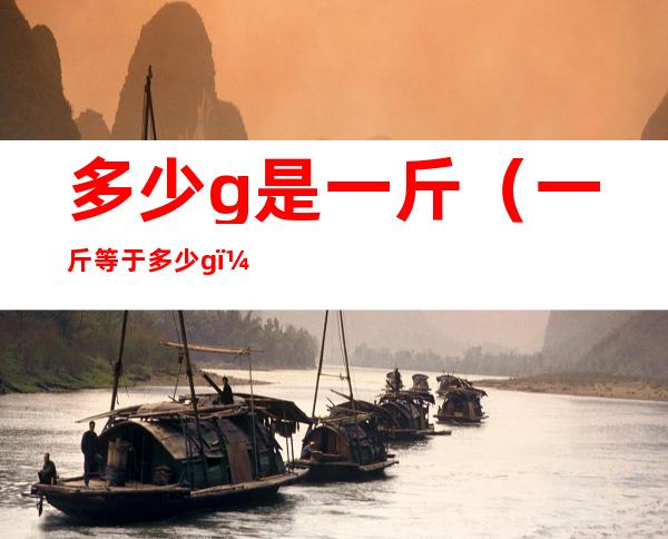 多少g是一斤(一斤等于多少 g)