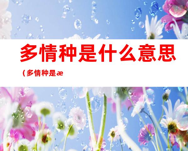 多情种是什么意思(多情种是指什么人)