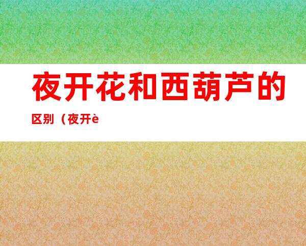夜开花和西葫芦的区别(夜开花和西葫芦一样么)